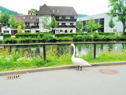 Unterkunft ist am strand oder genau daneben. Hotel Schiff Nagold Bett Bike