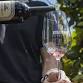 Wine Tasting: Authentic Argentine Experience event image