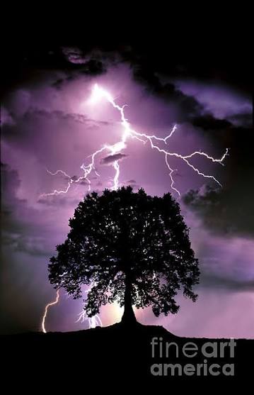 Composite Of Lightning Hitting A Tree Spiral Notebook