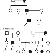 Some Of The Selected Pedigrees Out Of 140 Asthmatic Families