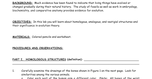 Evidence for evolution doodle notes! Evidence For Evolition Ws Doc Google Docs
