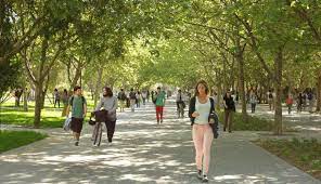 Maybe you would like to learn more about one of these? Las Mejores Universidades De America Latina Conoce Las 25 Primeras Ninguna Es De Ecuador