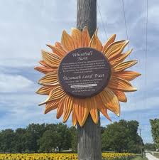 Image result for Yellow 1990 Ohio State of