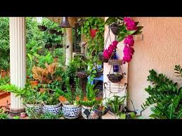 An evergreen perennial that grows 5 feet tall in full sun and is hardy from 10 to 20 f needs only an occasional watering after established. Creative And Beautiful Garden Hanging Plants Malayalam Indoor Plants Garden Ideas Salu Koshyveedu Youtube