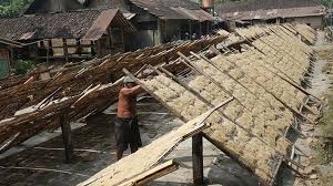Distributor, agen, reseller wedang uwuh angkringan jogja. Intip Pembuatan Mie Lethek Cap Garuda Dengan Bantuan Tenaga Sapi Foto Tempo Co