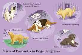 Dog food bags usually tell you how much food a dog needs based your veterinarian will be able to tell you if your dog is a healthy weight, and you can look up general guidelines online if you know your dog's breed. How To Identify And Treat Senior Dementia In Dogs