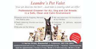 How much do pet sitters make? Leandre Pet Sitting Services Pet Health Care