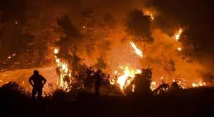 Os dados do instituto português do mar e da atmosfera (ipma) mostram que o risco de incêndio nos concelhos de lousada, paços de ferreira, paredes e penafiel está hoje no nível máximo. Clkb Hkonbrohm