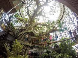 I started with publishing newspaper columns in 2012 and it took me a year or two to set up a portfolio and get running. Indoor Rainforest In Dubai Opens With World S Largest Artificial Tree