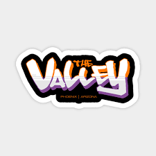 The phoenix suns are one of the two expansion teams to join the nba in 1968 and the first ever professional franchise in major american sports (being basketball, american football, baseball and ice hockey) to locate in arizona. Phoenix Suns The Valley Phoenix Suns Magnes Teepublic Pl