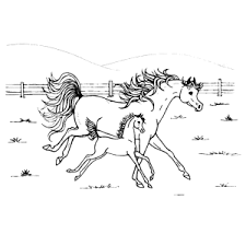 Kleurplaten paradijs kleurplaat een paard met veulen in de wei. Kleurplaat Van Een Paard Printen Leuk Voor Kids
