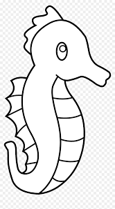 This will become the seahorse's torso and belly. Cute Seahorse Line Art Sea Horse Drawing Easy Hd Png Download Vhv