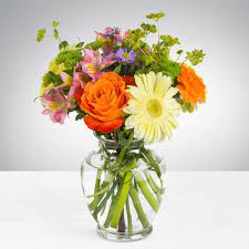 Carnival By Bloomnation Flower Delivery Flowers Online Fresh Flower Delivery