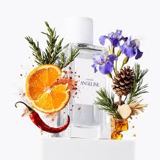 Image result for Aqua 1992 Shadow