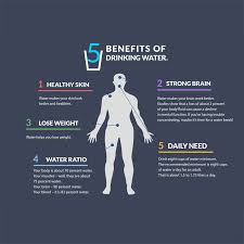 Much of the water is in blood plasma (20% of the body's total). Benefits Of Drinking Water Fit Body By George Best Personal Trainer In Vancouver Bc Permanent Weight Loss Solutions