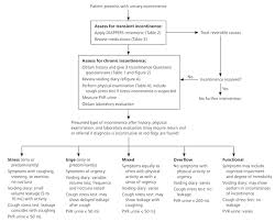 Diagnosis Of Urinary Incontinence American Family Physician