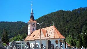 Un caz interesant de transplant de organe. Prundul Scheii Brasovului Floriandlb