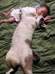 She's doing such a good job, we're so proud of her! 6 Myths About Cats And Babies