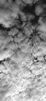 Black And White Sky Hd Wallpaper Domain For Sale Fotograf Duvari Duvar Kagitlari Bulutlar