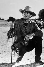 Image result for International Red 1956 Wayne Works