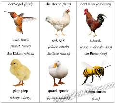 Animal Sounds In German With English Translations Learn German German Animals Sounds Vocabulary Animal Sounds Animals Learn German
