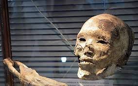 Kamis, 14 november 2019 07:53. Top 10 Curious And Creepy Mummified Remains Listverse