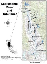 Middle Sacramento River Salmon And Steelhead Monitoring