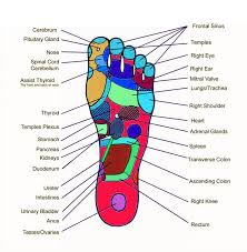 Pressure Points On Your Left Foot Foot Reflexology