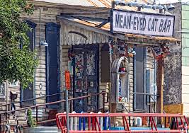 Check out our mean eyed cat selection for the very best in unique or custom, handmade pieces from our shops. Mean Eyed Cat Bar In Color Photograph By Linda Phelps
