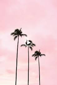 We did not find results for: Tattoo Style In 2021 Palm Tree Photography Palm Trees Wallpaper Photo Wall Collage