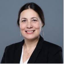 From Litigation to Implementation: Framing Climate Remedies