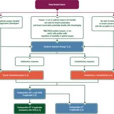 Check spelling or type a new query. Early Breast Cancer Treatment Algorithm A Biology That Requires Cht Download Scientific Diagram