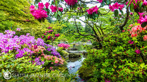 The game world is navigated using linear paths connecting towns and dungeons. Seattle Japanese Garden Backgrounds Now Available For Video Conferences Seattle Japanese Garden