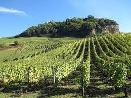 3 Bonnes Raisons De Pratiquer L Oenotourisme Dans Le Jura Vignes Vignobles Tourisme Durable Tourisme Touriste