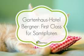 Tierpension Im Gartenhaus Urlaub Fur Katzen Gartenhaus Haus Und Tierpension