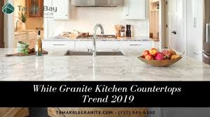 Get free shipping on qualified white granite countertops or buy online pick up in store today in the kitchen department. Are White Granite Kitchen Countertops A Design Trend In 2019