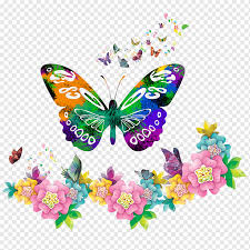 Huge storage of freebie colorful butterfly icons from cannypic. Multicolored Butterfly And Flowers Art Paper Poster Colorful Butterfly Border Color Splash Brush Footed Butterfly Png Pngwing