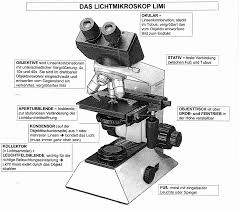Das wort mikroskop aus dem griechischen stammt und so viel wie kleines schauen bedeutet? Mikroskop Geschichte Wiki Georgia Logic Blog
