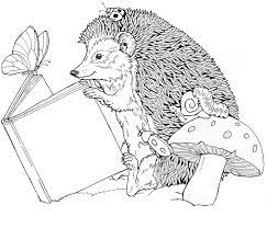 The omnivorous predator is active at night. Coloring Page Hedgehog Animals Coloring Pages 3