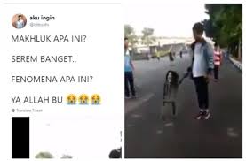 Check spelling or type a new query. Viral Di Twitter Boneka Aneh Bisa Berjalan Ini Kejutkan Warga Hitekno Com