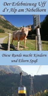 Toller Erlebnisweg Uff D R Alp Am Nebelhorn Outdoor Abenteuer Allgau Urlaub Ausflug
