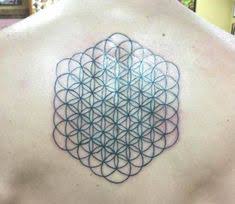 20% off all regular priced items. 50 00 Certificate Good Toward Any Tattoo Muscatine Dollarsaver