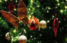 Pacific Grove Christmas Tree Lighting