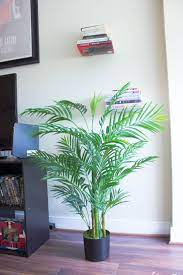 Plants are thought to possess too much yang, which creates too much energy and activity for you to. Decorating My Apartment With Faux Indoor Plants Something Good Artificial Plants Decor Fake Plants Decor Small Artificial Plants