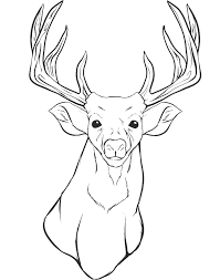 Search through 623,989 free printable colorings at getcolorings. A Deer Head Coloring For Kids Animal Coloring Pages Kidsdrawing Free Coloring Pages Online Deer Coloring Pages Deer Drawing Skull Coloring Pages