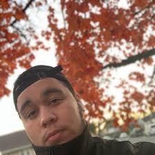 Whats best for lepic Defence or shield