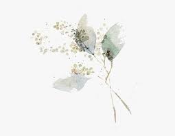 Watercolor, gouache and chinese ink on paper. Watercolor Painting Flower Art Illustration Watercolor Transparent White Flower Art Hd Png Download Kindpng