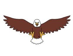 Step by step drawing tutorial on how to draw an eagle flying it belongsto the prey family. Eagle Drawing Easy Flying