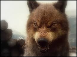 The great collection of wolf wallpaper hd for desktop, laptop and mobiles. 50 Twilight Wolf Wallpaper On Wallpapersafari