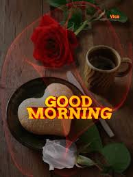 You would surly like these good morning love photos free download. 38 Best Good Morning Love Gif Ideas In 2021 Good Morning Love Good Morning Love Gif Morning Love